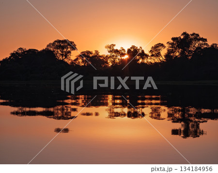 Breathtaking landscape of the North Pantanal at dusk, Pocone, Mato Grosso, Brazil. Brazilian nature and wilderness. 134184956