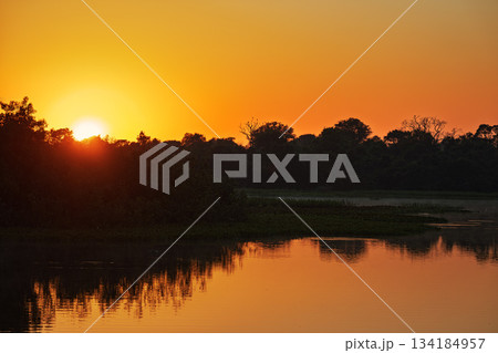 Breathtaking landscape of the North Pantanal at dusk, Pocone, Mato Grosso, Brazil. Brazilian nature and wilderness. 134184957