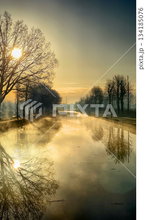 Enjoy a Serene Morning by the Misty River Where Natures Beauty and Tranquility Reigns Supreme 134185076