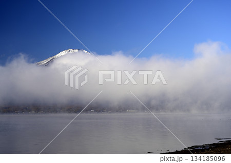 11月、朝の富士山 (撮影地:山中湖、長池親水公園付近) 11月、朝の富士山 (撮影地:山中湖、長池親水公園付近) 134185096