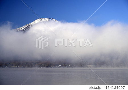 11月、朝の富士山 (撮影地：山中湖、長池親水公園付近) 134185097