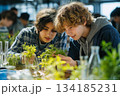 Two curious students closely examine plants in a bright science classroom, learning biology through hands-on experiments with greenery and lab glassware. 134185231