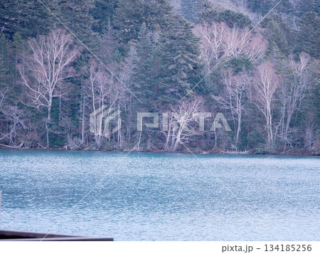 曇りの日のオンネトー 曇りの日のオンネトー 134185256