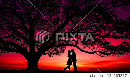 Silhouette couple kissing under large tree sunset sky red background romantic date love relationship nature landscape valentine day concept togetherness 134185287