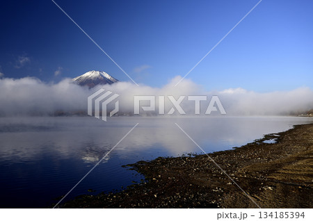 11月、朝の富士山 (撮影地：山中湖、長池親水公園付近) 134185394