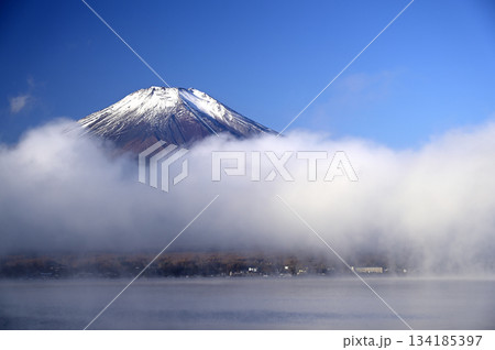 11月、朝の富士山 (撮影地:山中湖、長池親水公園付近) 11月、朝の富士山 (撮影地:山中湖、長池親水公園付近) 134185397