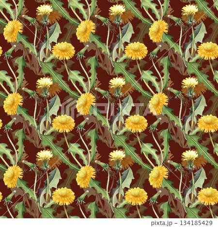 Seamless pattern with yellow dandelions on a dark red background. Watercolor illustration with wildflowers and green leaves. Seamless realistic background for wallpaper, textiles, tableware and summer Seamless pattern with yellow dandelions on a dark red background. Watercolor illustration with wildflowers and green leaves. Seamless realistic background for wallpaper, textiles, tableware and summer 134185429