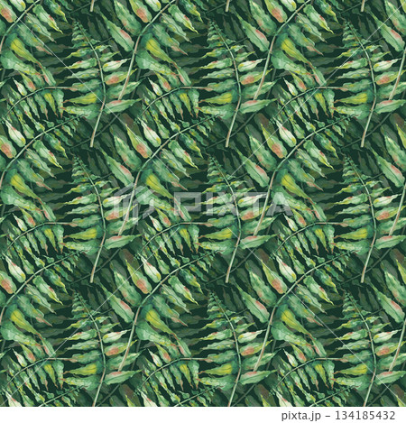 Watercolor seamless pattern with green fern branches. Botanical illustration of a forest plant on a dark green background. Realistic image for decoration of forest themes, packaging, textiles 134185432
