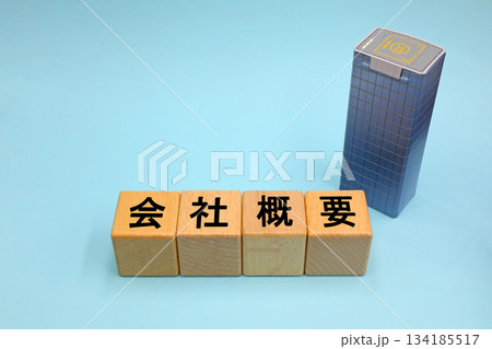 会社概要のイメージ 134185517