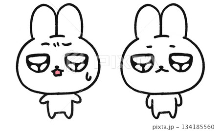 手描き、可愛いうさぎのキャラクター、困っている・呆れている表情2種類セット 134185560