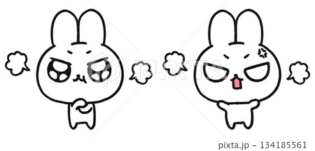 手描き、可愛いうさぎのキャラクター、怒っている表情2種類セット 134185561