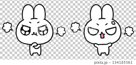 手描き、可愛いうさぎのキャラクター、怒っている表情2種類セット 134185561