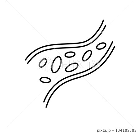 Blood vessel line icon. Human artery and vein symbol. Blood hemoglobin sign. Healthy heart system control. Healthy vessel icon. Vector illustration isolated on white background Blood vessel line icon. Human artery and vein symbol. Blood hemoglobin sign. Healthy heart system control. Healthy vessel icon. Vector illustration isolated on white background 134185585