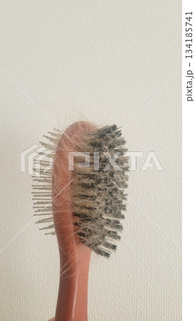 犬の抜け毛 202510 (2) 134185741