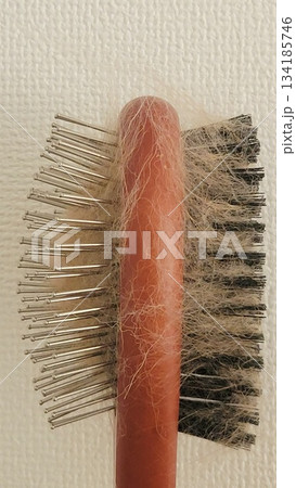 犬の抜け毛 202510 (7) 134185746