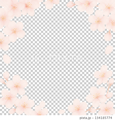 桜が四隅を飾るやさしい春のフレームデザイン、淡い桜が角を彩る可憐な春フレーム背景、メッセージを囲む桜 134185774