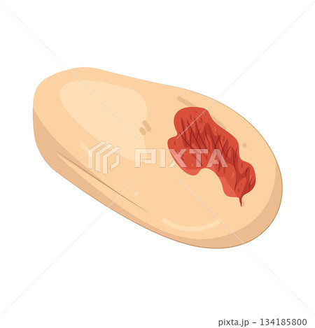 Illustration of wound Illustration of wound 134185800