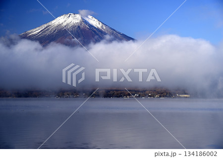 11月、朝の富士山 (撮影地：山中湖、長池親水公園付近) 134186002