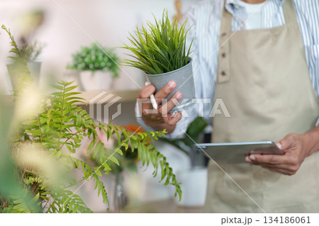 Gardening and Care. A person holding a potted plant while using a tablet in a bright workspace. Gardening and Care. A person holding a potted plant while using a tablet in a bright workspace. 134186061