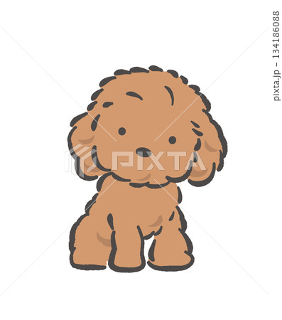 かわいいプードルのベクターイラスト かわいいプードルのベクターイラスト 134186088