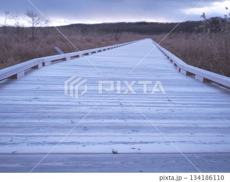 温根内ビジターセンターの散策路 134186110