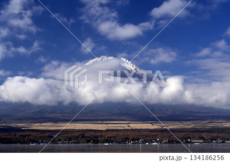 11月、朝の富士山 (撮影地:山中湖、長池親水公園付近) 11月、朝の富士山 (撮影地:山中湖、長池親水公園付近) 134186256