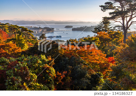 【宮城県_松島】西行戻しの松公園から望む松島湾 秋 【宮城県_松島】西行戻しの松公園から望む松島湾 秋 134186327