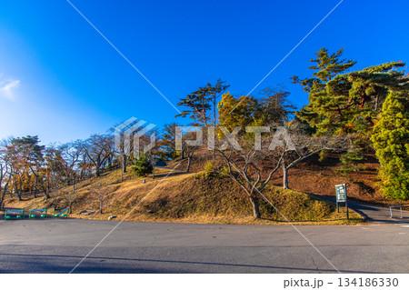 【宮城県_松島】西行戻しの松公園から望む松島湾 秋 【宮城県_松島】西行戻しの松公園から望む松島湾 秋 134186330