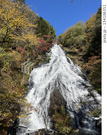 紅葉の滝 134186351