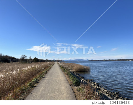 湖沿いの小道 134186438