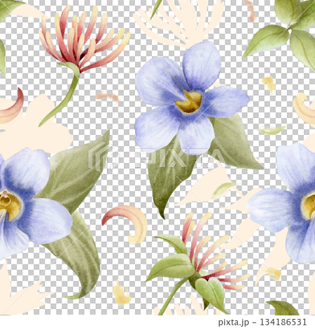 Honeysuckle and purple Thunbergia vine flowers with petals watercolor seamless pattern on white. Pastel violet and pink floral plant hand drawn repeat background. Botanical floral tropical nature 134186531