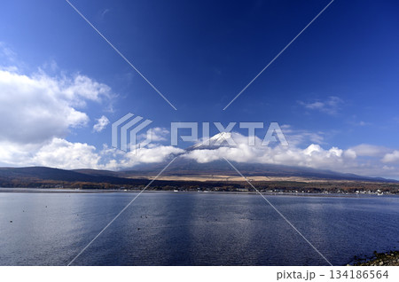 11月、朝の富士山 (撮影地:山中湖、長池親水公園付近) 11月、朝の富士山 (撮影地:山中湖、長池親水公園付近) 134186564