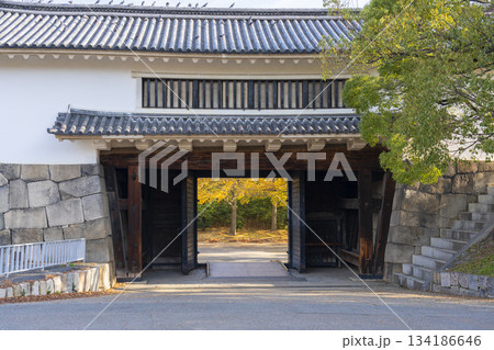 秋の大阪城公園 青屋門 黄金色に輝くイチョウの葉 秋の大阪城公園 青屋門 黄金色に輝くイチョウの葉 134186646