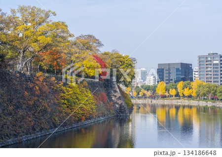 秋の大阪城公園 秋の大阪城公園 134186648