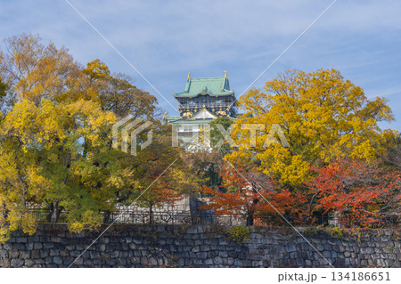青空に映える大阪城天守閣 紅葉の季節 青空に映える大阪城天守閣 紅葉の季節 134186651