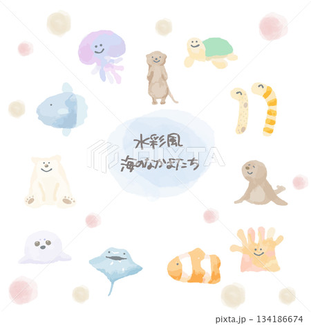 海のなかまたちシリーズ｜水彩タッチイラストセット（12点） 134186674