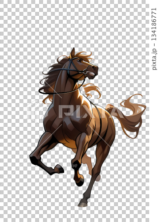 棕色馬站立的插圖（透明PNG格式） 134186771