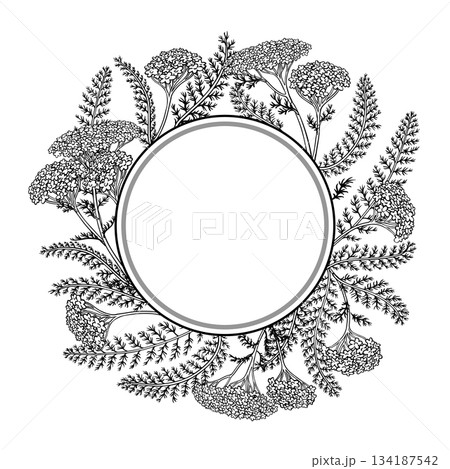 Yarrow Branch Outline Round Frame. 134187542