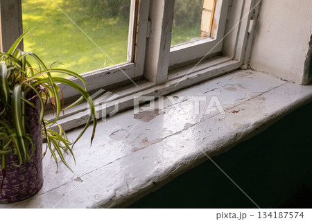 A close view of a window in an old house shows peeling paint on the sill and a small potted plant. Sunlight streams in, illuminating the wear and tear of the environment 134187574