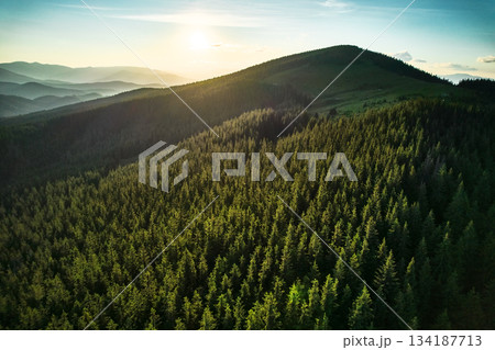 Aerial view of serene mountain landscape at sunset. Forested hills bathed in warm, golden light, creating tranquil atmosphere. Rolling hills stretch into the distance, covered in dense, lush greenery. Aerial view of serene mountain landscape at sunset. Forested hills bathed in warm, golden light, creating tranquil atmosphere. Rolling hills stretch into the distance, covered in dense, lush greenery. 134187713