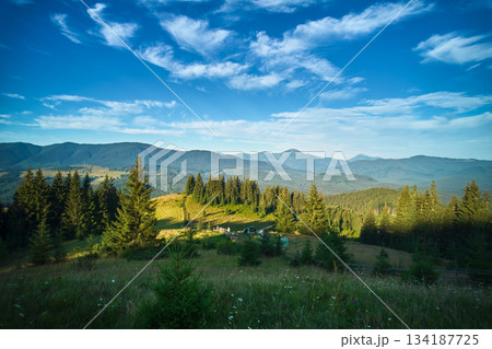 Magnificent view of lush, green meadow bordered by pine trees, with rolling hills and majestic mountains in background. The sky is clear blue with wispy clouds, capturing serene beauty of nature. 134187725