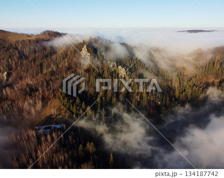 Mesmerizing aerial view of forested ridge shrouded in sea of clouds, with trees just peeking through mist. Landscape extends into distance, showcasing serene and ethereal beauty of nature. 134187742