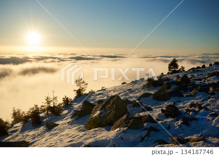Snow-covered mountain slope at dawn, with scattered rocks and small trees adding texture to foreground. Sea of clouds below bathed in soft hues of blue and gold as sunlight gently illuminates scene. Snow-covered mountain slope at dawn, with scattered rocks and small trees adding texture to foreground. Sea of clouds below bathed in soft hues of blue and gold as sunlight gently illuminates scene. 134187746