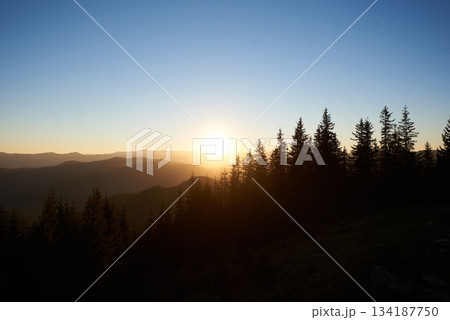 Sun sets behind distant mountains, casting golden glow across sky and landscape. Silhouetted pine trees stand tall in foreground, creating peaceful, serene scene. Warm light illuminates rolling hills. 134187750