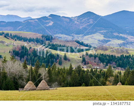 Rural landscape with rolling green hills and dense forests under cloudy sky. Traditional haystacks and wooden fences in foreground add rustic charm, while scattered homes dot the valley and hillsides. Rural landscape with rolling green hills and dense forests under cloudy sky. Traditional haystacks and wooden fences in foreground add rustic charm, while scattered homes dot the valley and hillsides. 134187752