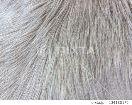 Close-up Texture of Gray faux fur background. Fabric Texture Background. Close-up Texture of Gray faux fur background. Fabric Texture Background. 134188173
