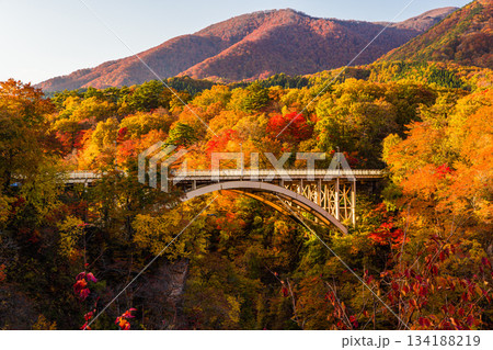 【宮城県_大崎市_鳴子峡】錦秋の鳴子峡　10月 134188219