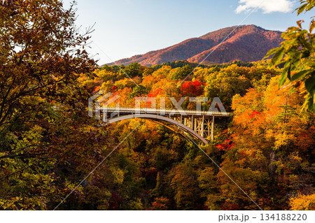 【宮城県_大崎市_鳴子峡】錦秋の鳴子峡　10月 134188220
