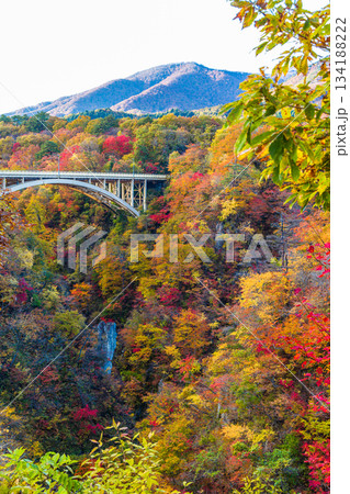 【宮城県_大崎市_鳴子峡】錦秋の鳴子峡　10月 134188222