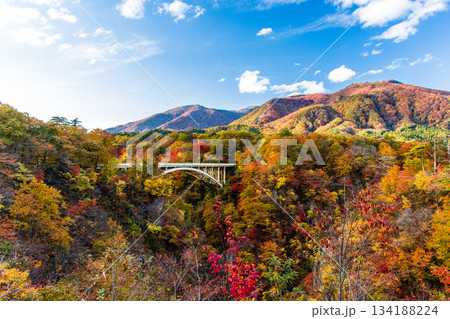 【宮城県_大崎市_鳴子峡】錦秋の鳴子峡　10月 134188224